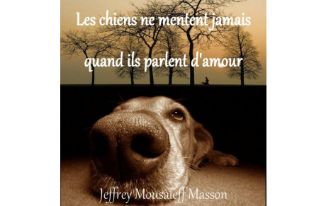 A quoi pense le chien quand il regarde son maitre