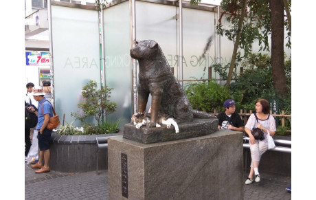 Des chiens célèbres et héroïques